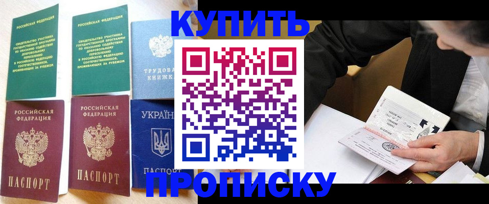 прописка для школы в Зверево